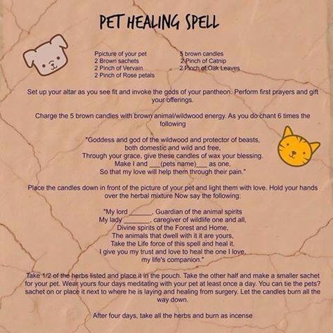 Healing Spells For Animals, Dog Healing Spell, Animal Healing Spell, Pet Health Spell, Healing Spell For Pets, Pet Healing Spell, Dog Witchcraft, Pet Spells, Pet Protection Spell