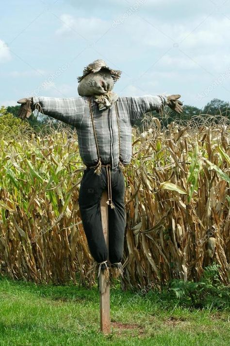 Scarecrow Party, Make A Scarecrow, Halloween Scarecrow, Uk Lifestyle, Corn Maze, Wild Adventures, High Fructose Corn Syrup, Family Adventure, Halloween Haunt