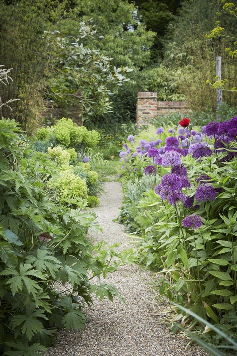 Sarah Raven, gardener, writer and TV personality, has it pretty good as far as I can tell. She lives in East Sussex, England, a mecca for gardeners, in a c Pea Gravel Garden, Gravel Walkway, Pea Gravel Patio, Gravel Landscaping, Gravel Patio, Gravel Path, Yard Landscape, Gravel Garden, Pea Gravel