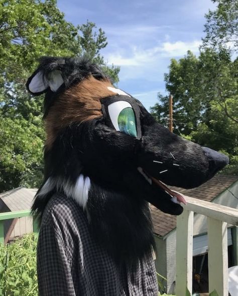 Fancyfishfursuits sighthound, side view Borzoi Fursuit, Wild Boar Fursuit, Lynx Fursuit, Sabertooth Fursuit, Multicolorbark Fursuits, Side View, Darth Vader, Memes, Drawings