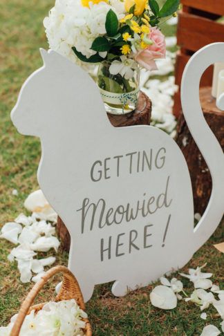 Phuket Wedding, Cat Wedding, Destination Wedding Photos, Beach Wedding Decorations, Future Wedding Plans, Cute Wedding Ideas, Wedding Boutique, Cat Theme, Wedding Themes