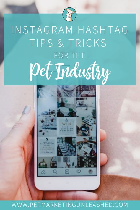 Instagram Hashtag Tips & Tricks For The Pet Industry | Pet Marketing Unleashed Pet Instagram Ideas, Dog Instagram Ideas, Pet Marketing, Business Hashtags, Pet Instagram, Dog Marketing, Marketing Website Design, Pet Sitting Business, Dog Instagram