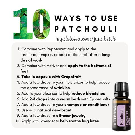 Doterra Patchouli, Doterra Essential Oils Recipes, Essential Oils Guide, Essential Oils Health, Essential Oil Blends Recipes, Patchouli Oil, Patchouli Essential Oil, Essential Oil Benefits, Essential Oil Roller