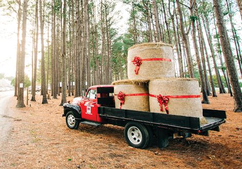 Christmas Tree Farm Ideas, Christmas Hayride, Christmas On The Farm, Aussie Summer, Farm Christmas, Barn Parties, Farm Store, The Barnyard, Christmas Farm