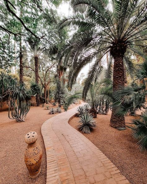 Marrakech Courtyard, Marrakech Gardens, Desert Farm, Moroccan Garden, Hacienda Homes, Desert Resort, Palm Garden, Tropical Garden Design, Meditation Garden