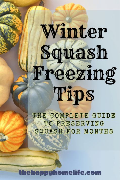 Learn the best techniques for freezing squash to maintain its flavor, texture, and nutrients. From selecting the right squash varieties to prepping and blanching, we'll walk you through every step of the process. Say goodbye to wasted squash and enjoy the taste of winter all year round. How To Blanch Squash For Freezing, Blanching Squash For Freezing, Freezing Winter Squash, How To Freeze Squash, Cushaw Squash Recipes, Squash Freezing, Preserving Squash, Freeze Squash, Cushaw Squash