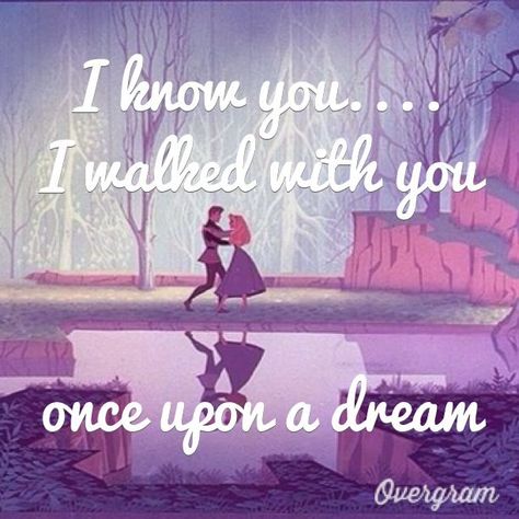 Quotes Disney Princess, Sleeping Beauty Quotes, Once Upon A Dream, Disney Princess Aurora, Disney Princess Quotes, Flynn Rider, Disney Songs, John Maxwell, Disney Side