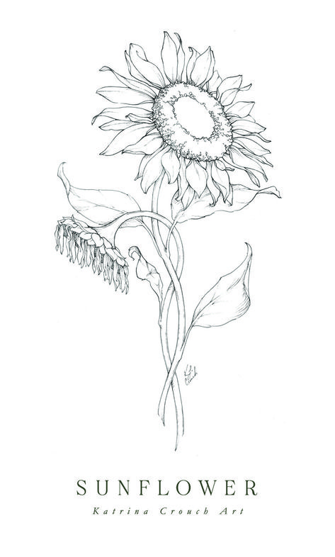 Sunflowers Line Art, Sunflower Ink Drawing, Sunflower Pen Drawing, Whimsical Sunflower Tattoo, Sunflower Drawing Black And White, Sunflower Illustration Simple, Sunflower Design Drawing, Drawing Of Sunflower, Line Drawing Sunflower