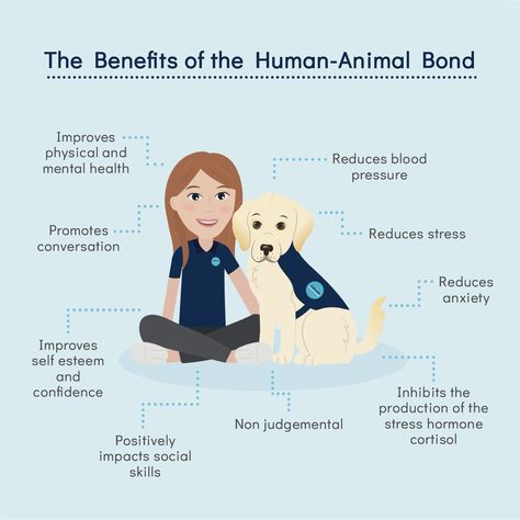 Canine infographics-06 Therapy Dogs In Schools, Mental Health Week, Improving Mental Health, Healthy Workplace, Care Homes, Therapy Dog, Positive Mental Health, Mental Health Day, Emotional Wellbeing