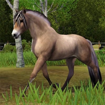 Sims 3 Horse Cc, Sims 3 Horses, Sims 3 Generations, The Sims 3 Pets, Sims Fashion, Horse Age, Sims Pets, Sims 3 Cc Finds, 3 Horses