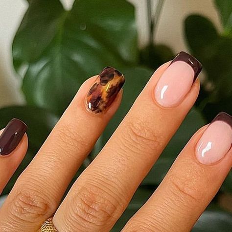 Autumn Nails Biab Short, Tort Shell Nails, Tort Nails, Torties Nails, Aw Nails, Fall Bails, Fall Nails With Design, Short Nail Designs Simple, Nail Designs Brown