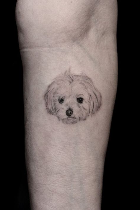 Mini Dog Portrait Tattoo | Black Sword Tattoo Parlour Tattoo Door, Dog Portrait Tattoo, Mini Dog, Tattoo Black, Mini Dogs, Tattoo Parlors, Dog Portraits, Black Tattoos, Portrait Tattoo