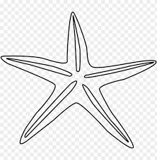 Starfish Line Drawing, Seastar Drawing, Seashell Outline, Starfish Outline, Book Line Art, Starfish Drawing, Free Use Images, Sea Drawing, Art Doodles