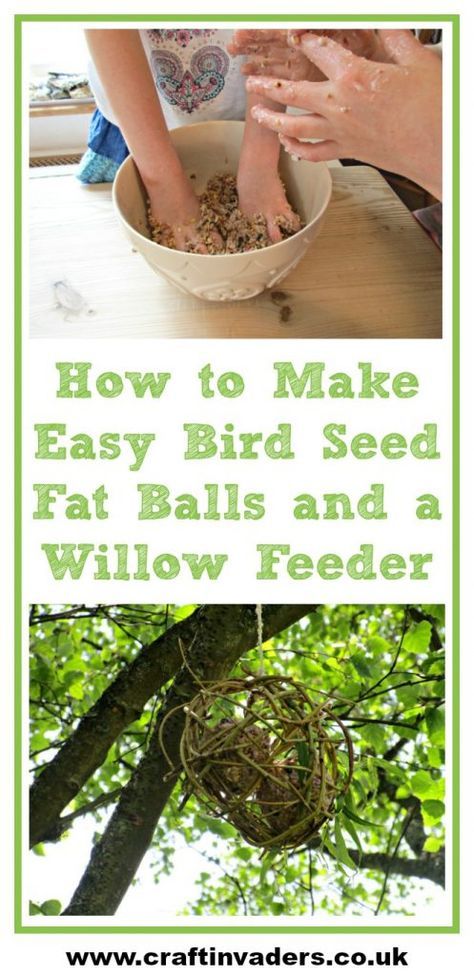 Our home-made Willow bird feeder and Bird Seed Fat Cakes are a great way to feed the birds up in the trees or in your garden. Easy Bird, Bird Table, Bird Tables, Bird Feeding, Willow Weaving, Urban Forest, Christmas Decorations Garland, Diy Bird Feeder, Birdcages