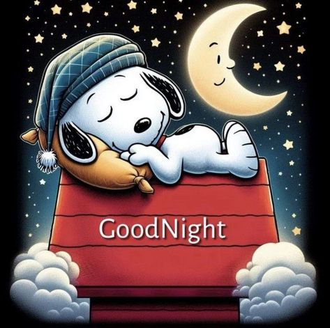 Snoopy Get Well, Snoopy Good Night, Good Night Snoopy, Funny Good Night Pictures, Goodnight Baby, Goodnight Snoopy, Evening Blessings, Cute Good Morning Gif, Goodnight Everyone