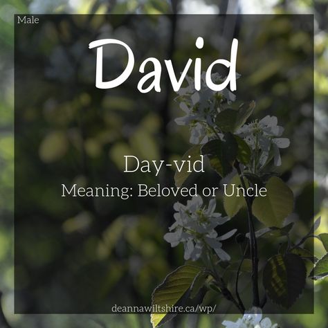 Boy names / names / david / d names / d names for boys / name that means beloved / uncle / beloved / name meanings / character names D Names For Boys, D Names, David Name, Names For Boys, David D, Dystopian Novels, Boy Name, Morning Blessings, Character Names