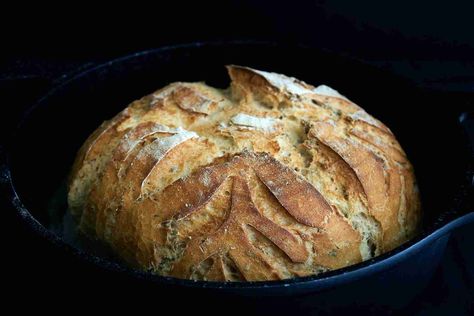 How to Grow Yeast: A Beginner’s Guide - The CoolBot by Store It Cold Jalapeno Cheese Bread, Sistem Saraf, Slow Cooker Bread, No Yeast Bread, Rye Bread, Cheese Bread, Bread Machine, Nutritional Yeast, Artisan Bread