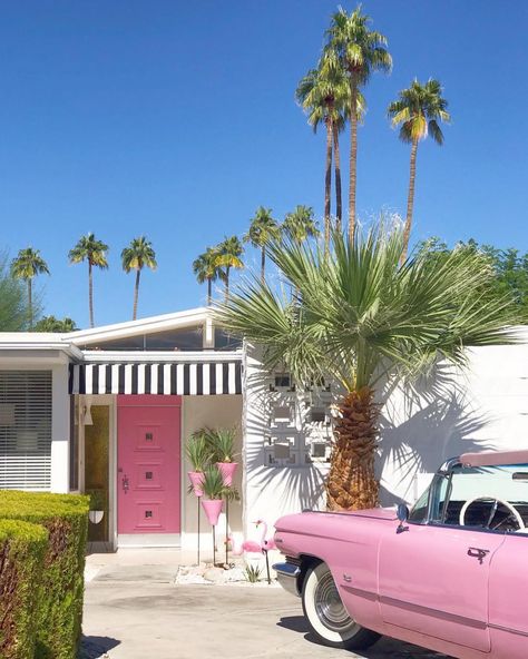 Only one more spot left for our Palm Springs photography sessions in April after Viva Las Vegas. Hit me up if you’re keen or there’s a link… Palm Springs Photography, Palm Springs Party, Palm Springs Houses, Vintage Palm Springs, Palm Springs Aesthetic, Palm Springs Architecture, Palm Springs House, Palm Springs Style, Palm Spring