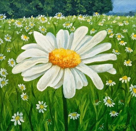 Daisy Paintings, Painting Daisy, Daisy Canvas, Meadow Painting, Daisy Art, Daisy Painting, Spring Painting, Tableau Art, Nature Art Painting