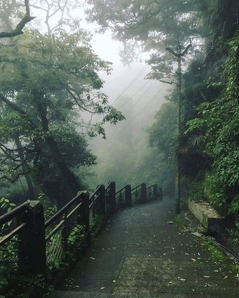 Raid De Himalaya on Instagram: “Mansoon Greens 💚💚 . It really feels good to be lost in the right direction. Fill your life with adventures. All you need to know is that…” Mussoorie, Old Street, Incredible India, India Travel, Nature Photos, Beautiful Destinations, The Queen, Places To Travel, Mist