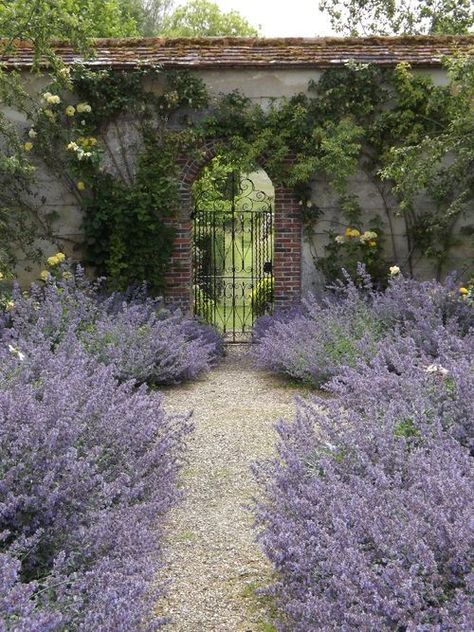 garden path -  found on rozcawley typepad- collected by linenandlavender.net for "To plant a garden..." Organic Structure, Lavender Garden, تصميم للمنزل العصري, The Secret Garden, Beautiful Flowers Garden, Garden Path, Gorgeous Gardens, Garden Cottage, Country Gardening