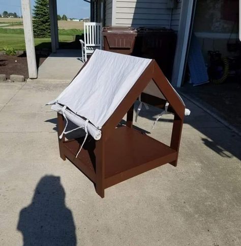 Doggie Cabana Bed With Canopy, Diy Pallets, Dog Yard, Whippet, Pallet Diy, Diy Outdoor, Outdoor Gear, Tent, Yard