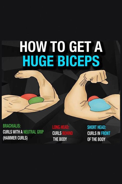 Bicep Compound Exercise, Long Head Bicep Workout, Brachialis Workout, Head Workout, Big Arm Workout, Biceps Muscle, Big Biceps Workout, Bicep Exercises, Muscular Arms