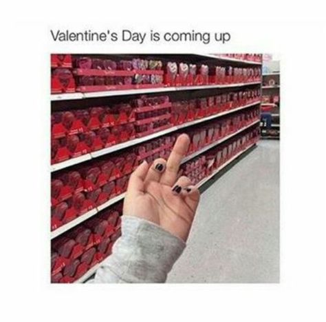 Me On Valentines Day, Hate Valentines Day, Dating Funny, Valentines Day Memes, Valentines Day Funny, January Birthday, Single People, Valentine Quotes, Girl Memes