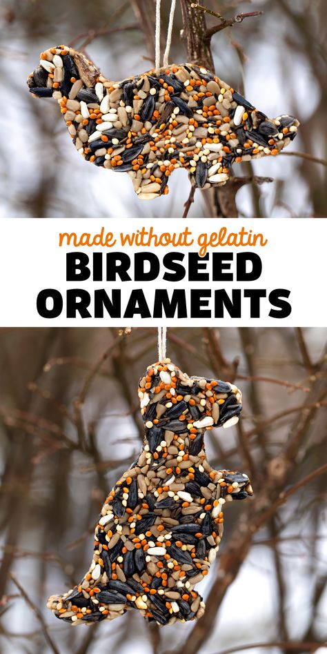 Birdseed Ornaments Made Without Gelatin - An easy and fun vegan recipe for birdseed ornaments! Follow along with Fireflies and Mud Pies for more great ideas! via @firefliesandmudpies Bird Seed Ornaments Recipe, Bird Feeders For Kids To Make, Seed Ornaments, Birdseed Ornaments, Bird Seed Ornaments, Bird Feeder Craft, Bird Seed Feeders, Easy Bird, Homemade Bird Feeders