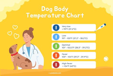 Dog Temperature Chart: Simple Fever Guide | PawLeaks Dog To Human Years Chart, Dog Vacination Chart, Vet Tech Knowledge, Pet Medication Chart, Dog Temperature, Dog Chart, Normal Body Temperature, German Shepherd Training, Temperature Chart