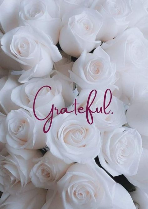 Thankfully Quotes Grateful, Gratefully Blessed Quotes, Grateful Wallpaper Iphone, Always Be Grateful Quotes, Be Grateful Wallpaper, Grateful Wallpaper, 2025 Blessings, Be Grateful Quotes, Grateful Aesthetic