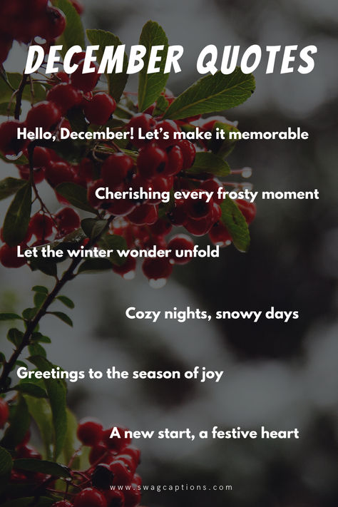 Dive into the enchanting world of December with our curated collection of quotes for instagram, designed to wrap you in the warmth of winter's magic. Embrace the season with wisdom and wonder. Wrapping Up The Year Quotes, December Love, Last Month Of The Year, December Quotes, Month Quotes, Instagram Picture Quotes, Year Quotes, Words Of Love, Perfect Word