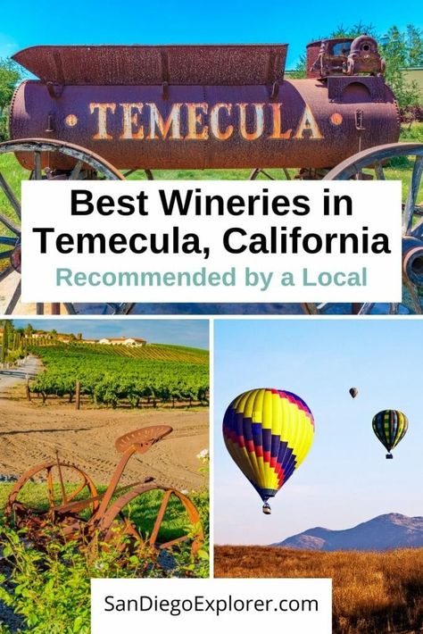 40th Theme, San Diego Wineries, Southern California Road Trip, Temecula Wine Tasting, California Wineries, Positivity Art, California Coast Road Trip, Best Weekend Trips, Napa Valley California