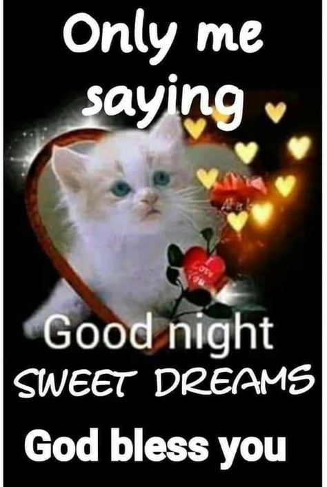 Best Good Night Quotes, Inspirational Good Night Messages, Good Night Cards, Best Good Night, Good Night Cat, Good Night Prayer Quotes, Images Emoji, Beautiful Good Night Quotes, Good Night Funny