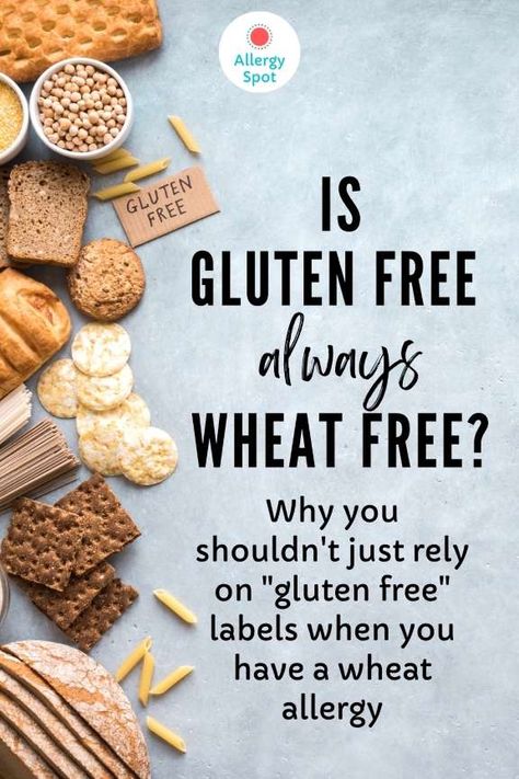 Gluten Free & Wheat Free: Are They the Same Thing? » Allergy Spot Wheat Allergy Symptoms, Gluten Free Croissant, Wheat Allergy, What Is Gluten, Coeliac Disease, Gluten Free Kitchen, Gluten Allergy, Going Gluten Free, Gluten Sensitivity