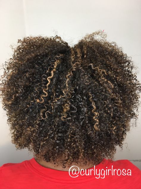 DevaCut & Pintura highlights Blonde Caramel Highlights, Curly Hair Techniques, Natural Hair Highlights, Curly Afro Hair, Blonde Natural Hair, Cute Natural Hairstyles, Highlights Curly Hair, Dyed Curly Hair, Hair Coils