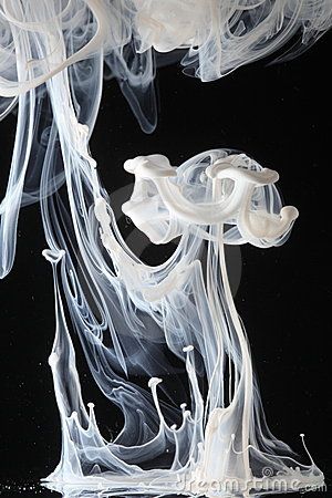 Wispy swirls created by white ink dispersing in water against a black background. High Speed Photography, Ink In Water, Water Photography, Stock Photography Free, Abstract Photography, Fluid Art, White Ink, Ink Art, In Water