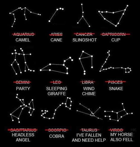 Constellation Names, Names Of Constellations, Libra And Pisces, Silly Faces, Mind Map, Bones Funny, Constellations, Zodiac Signs, Astrology