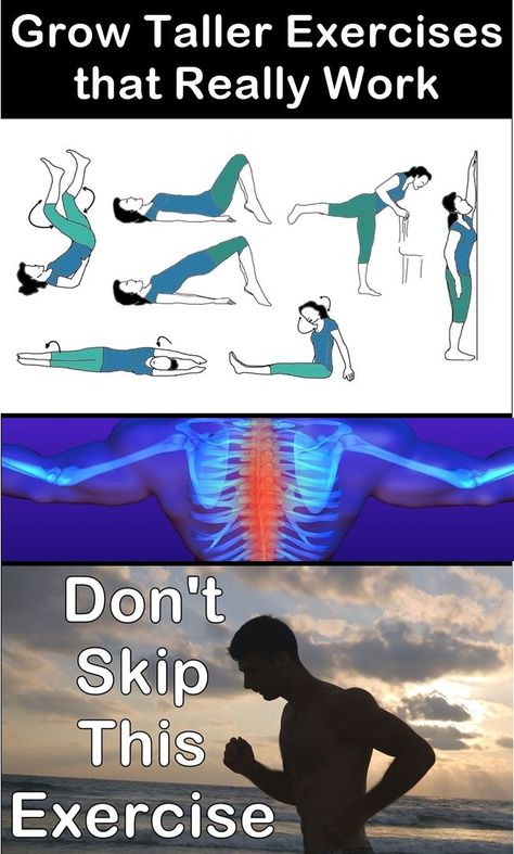 Taller Workout, Height Exercise, Get Taller Exercises, How To Get Tall, Grow Taller Exercises, Grammar Help, Biology Diagrams, Taller Exercises, Increase Height Exercise