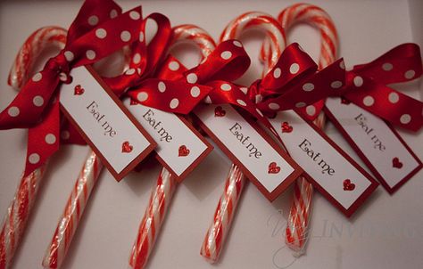 Christmas Wedding Favors, Winter Wedding Favors, Deco Table Noel, Alice In Wonderland Wedding, Candy Wedding Favors, Christmas Baby Shower, Christmas Favors, Wedding Favors Cheap, Diy Wedding Favors