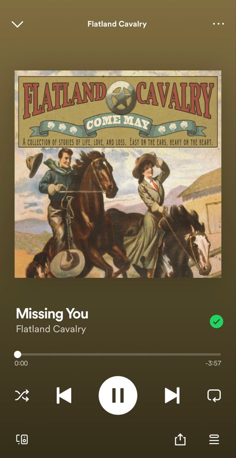 Flatland Cavalry, Rainbow Sprinkles, Picture Collage, All I Want, Shades Of Green, Country Music, Make Me Smile, Miss You, Songs