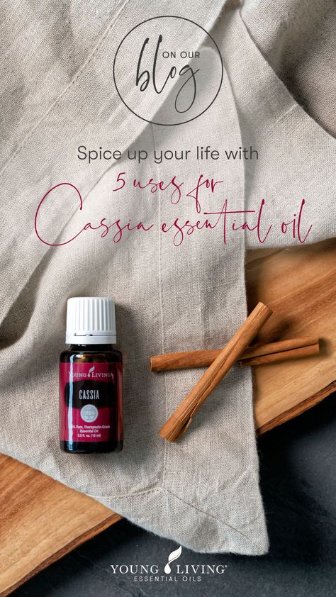 Cassia Essential Oil Uses, Cassia Essential Oil Blends, Cassia Diffuser Blends, Diffuser Blends Young Living, Cassia Essential Oil, Essential Oil Roller Bottle Recipes, Thieves Cleaner, Essential Oil Skin Care, Essential Oil Combinations