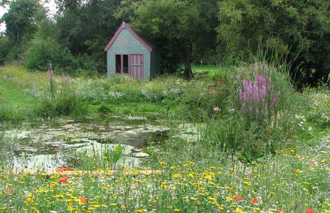 Wildlife Ponds Construction - Norfolk, Suffolk & Cambridgeshire Pond Construction, Bog Plants, Bog Garden, Garden Pond Design, Wild Flower Meadow, Natural Pond, Pond Plants, Garden Services, Pond Design