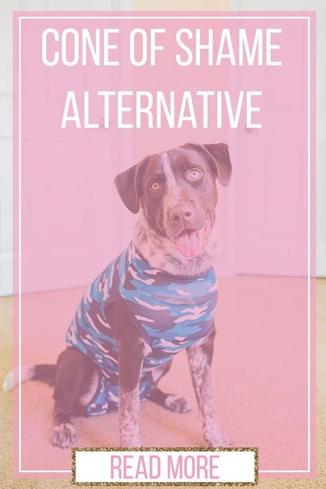 Is your puppy about to get spayed or neutered? I have the coolest dog product for you! Introducing the Suitical Recovery Suit. For years I have used the cone of shame but now that I've found this, I'm never going back! This cone of shame alternative is by far one of my best first puppy tips that will help your puppy recover from surgery. Tap this pin to read the full review + get more puppy tips and dog advice. #puppytips #doghealth #doghealthsupplies #newpuppy Dog Recovery From Surgery, Dog Spay Recovery Tips, Dog Surgery Recovery Tips, Neutering Dog Recovery, Dog Recovery Suit Diy, Spayed Dog Recovery, Neutered Dog Recovery Tips, Dog Neuter Recovery Shirt Diy, Dog Surgery Shirt Diy