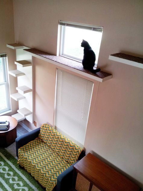 Cat Walkway, Cool Cat Trees, Cat Wall Shelves, Cat House Diy, Cat Towers, Cats Diy Projects, Cat Playground, Cat Perch, Cat Enclosure