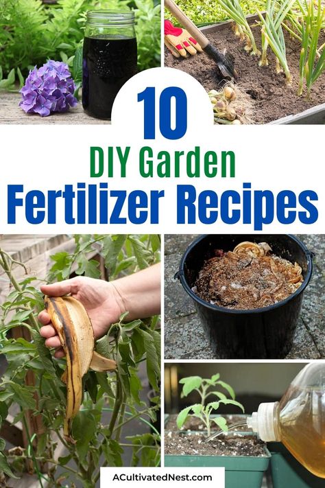 10 Best Homemade Plant Fertilizers- These 10 homemade plant fertilizers will have your garden in the best shape ever. These DIY fertilizers are perfect for all kinds of veggies! | DIY gardening products, #gardeningTips #garden #diyGarden #DIY #ACultivatedNest Diy Liquid Fertilizer For Vegetable Garden, Diy Tomato Fertilizer, Homemade Fertilizer For Vegetables, Diy Organic Fertilizer, Diy Plant Food For Vegetables, Diy Plant Nutrients, Plant Fertilizer Guide, How To Make Fertilizer For Plants, Natural Fertilizer For Vegetable Garden