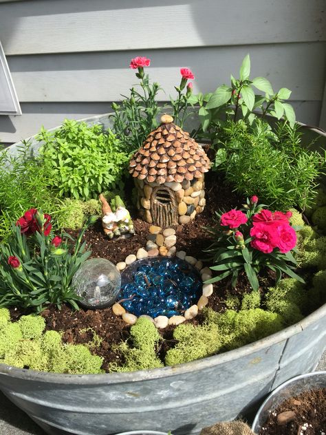 Fairy garden with LED solar lights Building Fairy Garden, Fairy Dish Garden Ideas, Fairy Garden With Succulents, Cactus Fairy Garden, Mini Fairy Garden Diy, Small Fairy Garden Ideas, Fairy Garden Container Ideas, Mini Fairy Garden Ideas, Fairy Garden In A Pot