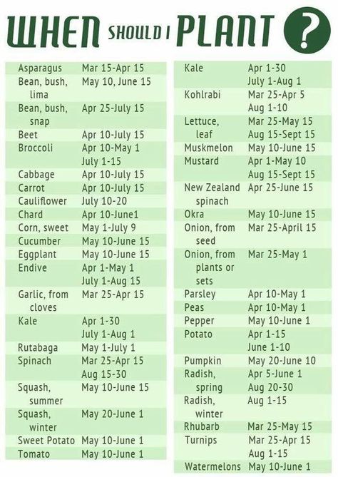 Planting chart When To Plant Vegetables, Planting Calendar, Veg Garden, Diy Gardening, Home Vegetable Garden, Food Garden, Planting Vegetables, Flowers Garden, Veggie Garden