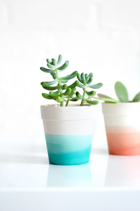 » MY DIY | Dip Dye Succulent Pot Summer Moment, Splatter Painting, I Spy Diy, Plant Pot Design, Diy Flores, Plant Pot Diy, Painted Pots Diy, Flower Pot Design, Painted Plant Pots