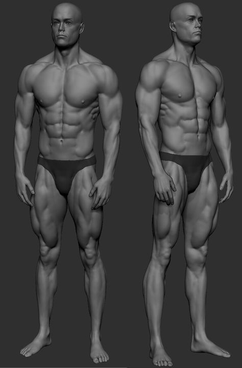 ArtStation - man, max zin Drawing Reference Muscles, Deltoid Reference, Buff Male Anatomy, Muscular Man Anatomy Drawing, Male Arm Muscle Reference, Muscular Torso Reference, Bodybuilder Pose Reference, Muscular Man Anatomy, Buff Guy Pose